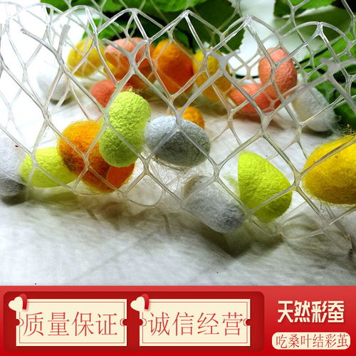 自然科學(xué)的奇妙旅程 蠶寶寶的成長與彩色蠶絲的奧秘